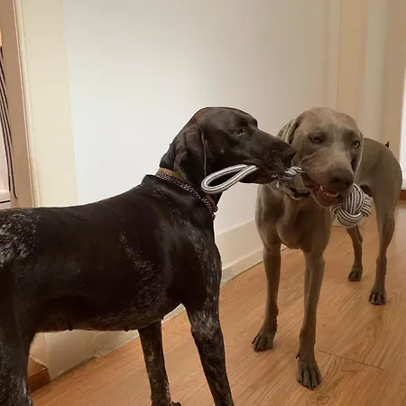 Chill And Fun - - Only Homestay