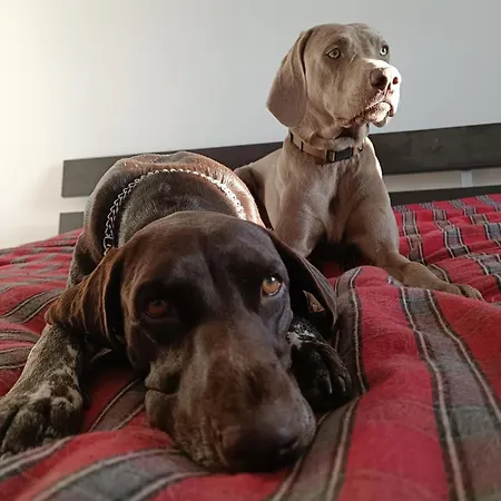 Chill And Fun - - Only 民宿 马托西纽什