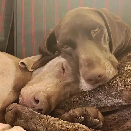 Chill And Fun - - Only