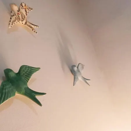 Chill And Fun - - Only Homestay