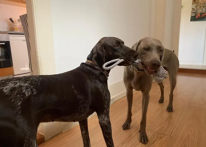 Chill And Fun - - Only 홈스테이