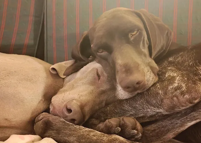 Chill And Fun - - Only