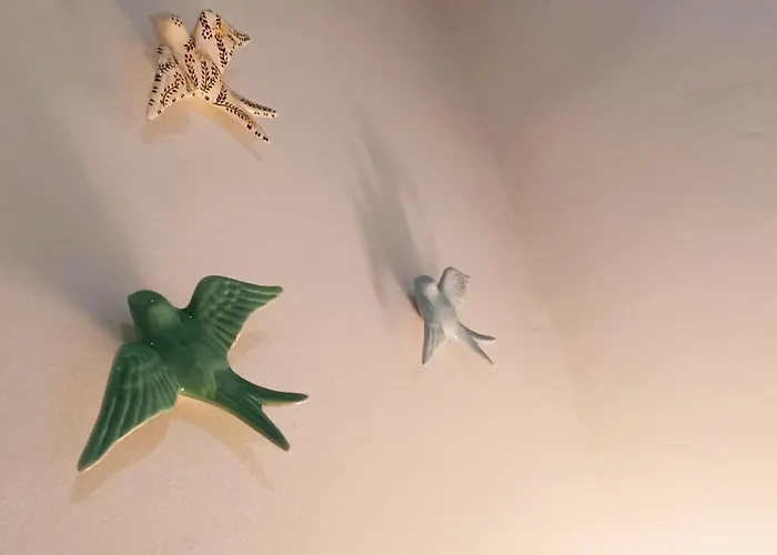 Chill And Fun - - Only 홈스테이