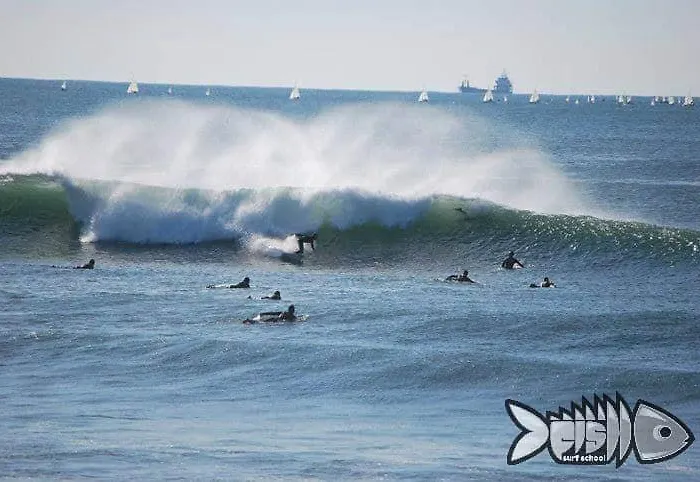 Chill And Fun - - Only Matosinhos (Porto)
