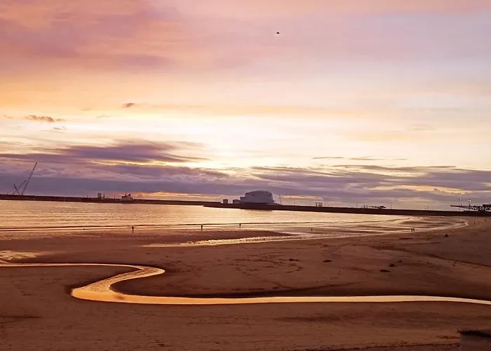 Chill And Fun - - Only